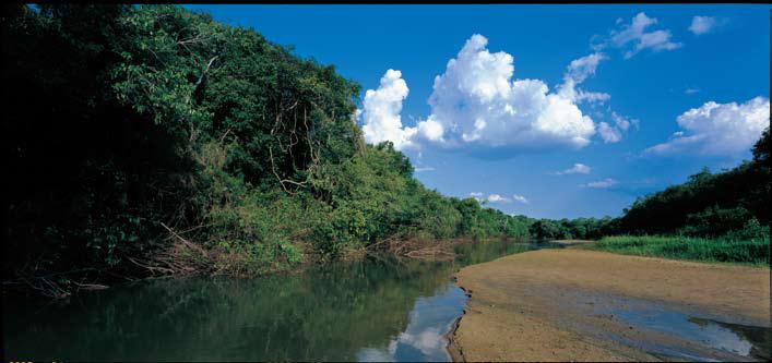 Quali sono i vantaggi dell'? NUOVA New Amazonia creata dalla terra naturale presenta eccellenti proprietà per la crescita delle piante e le caratteristiche dell'acqua.
