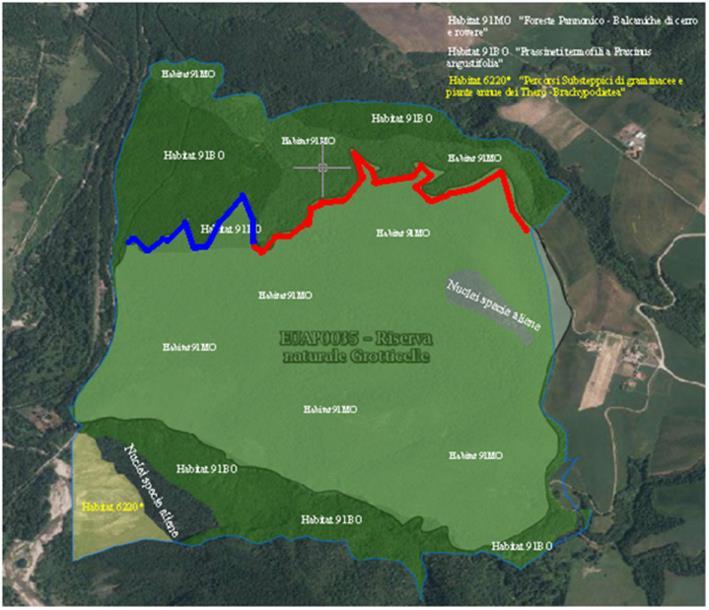 PROTOCOLLI D INTESA - REGIONE BASILICATA ENTI GESTORI E STAKEHOLDERS Lago Pantano di Pignola (Provincia di Potenza, Comune di Pignola WWF, ASI) D.G.R. n.