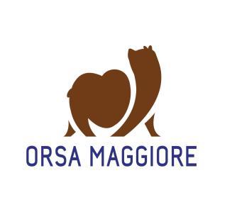 CURRICULUM VITAE ASSOCIAZIONE ORSA MAGGIORE DATI GENERALI Nome Sede legale Telefono E-mail Contatti Ambiti di intervento Associazione culturale e turistica Orsa Maggiore Via Garibaldi 33, 71027