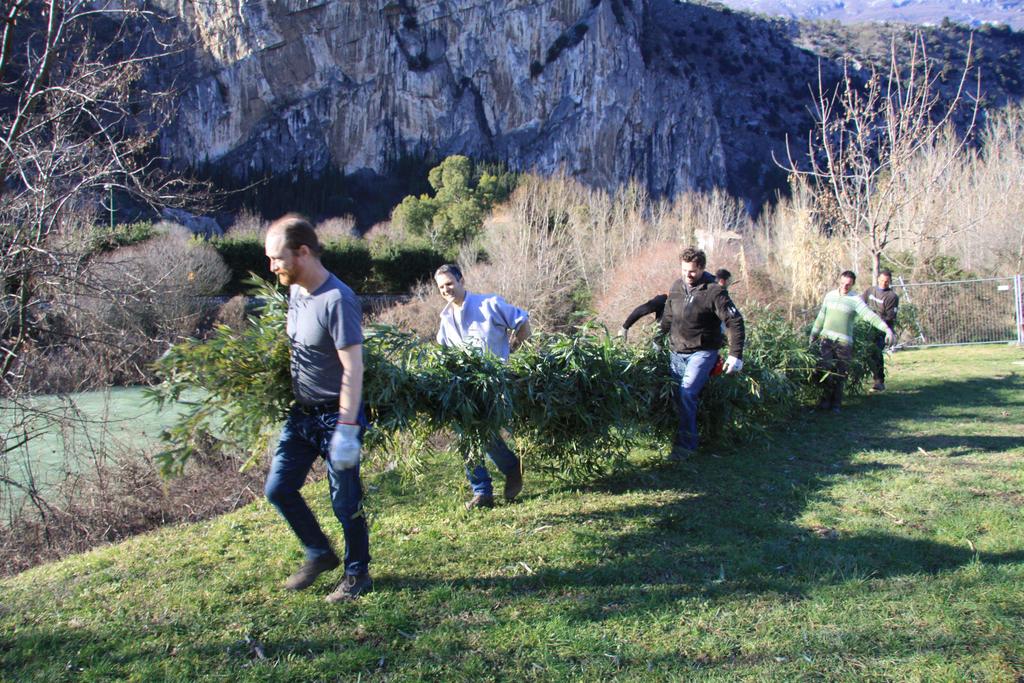 Servizio Bacini Montani Linee guida LIFE+TEN Gestione