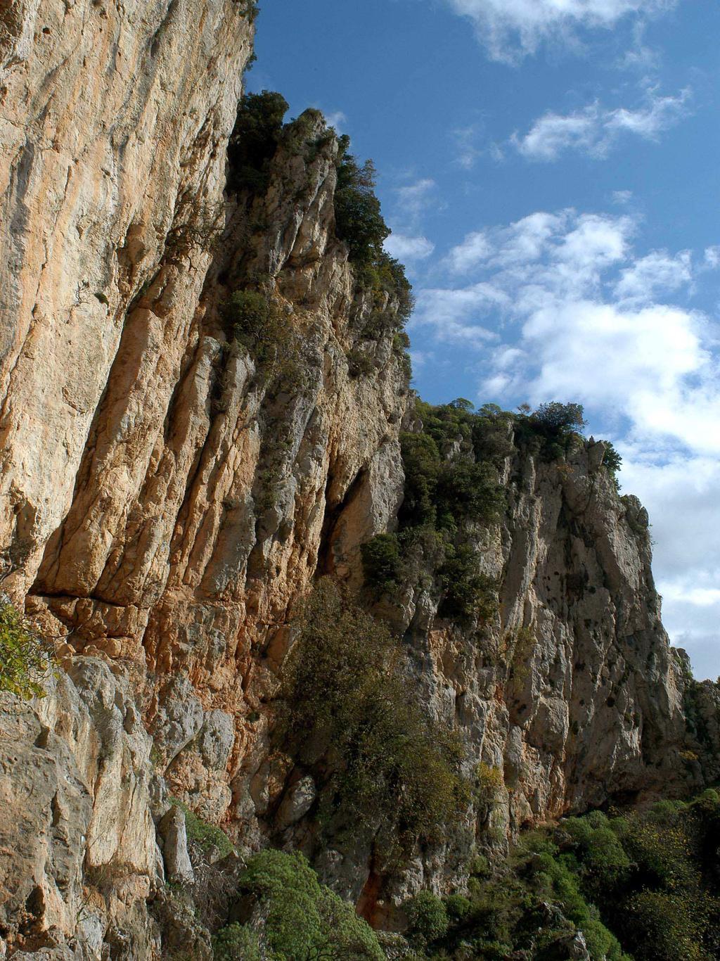 Fig. 4 - Le ripide pareti di calcari del Giurassico che dominano il sentiero di