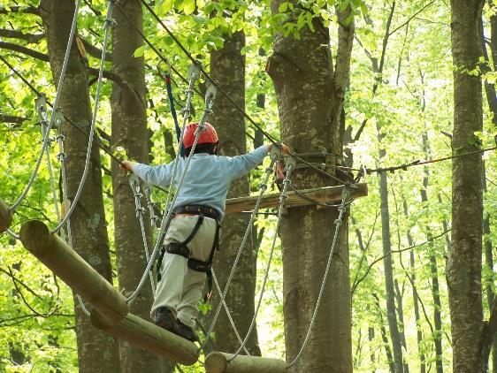 trascorrere ore di emozioni e divertimento da un albero all altro!