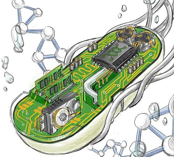 Craig Venter Institute), riuscì a creare nel 2010 la prima cellula sintetica, con un cromosoma interamente creato in laboratorio, in grado di dividersi e moltiplicarsi proprio come qualsiasi altra