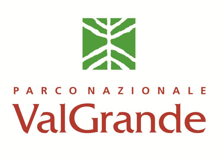 Il sogno di TrePuntoTredici è quello di lavorare alla realizzazione di processi di