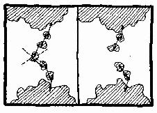 Rapporto tra la struttura e la funzione le connessioni La perdita di una macchia con funzione