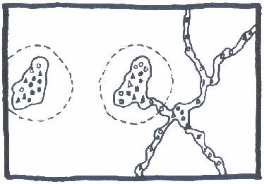 dei corridoi di vegetazione naturale si riscontra una maggiore ricchezza specifica Una macchia connessa a una rete di corridoi