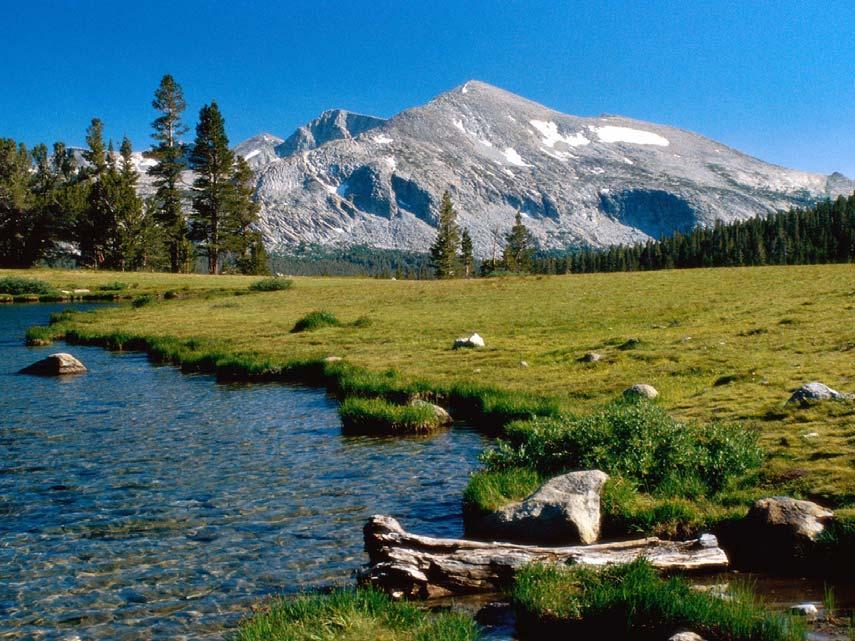 YOSEMITE NATIONAL PARK Il territorio del Parco si estende per 210.000 ettari su una porzione della Sierra Nevada, una catena montuosa lunga circa 450 Km.