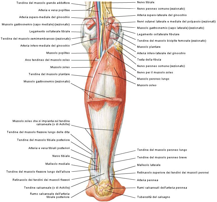 29 Figura 5.