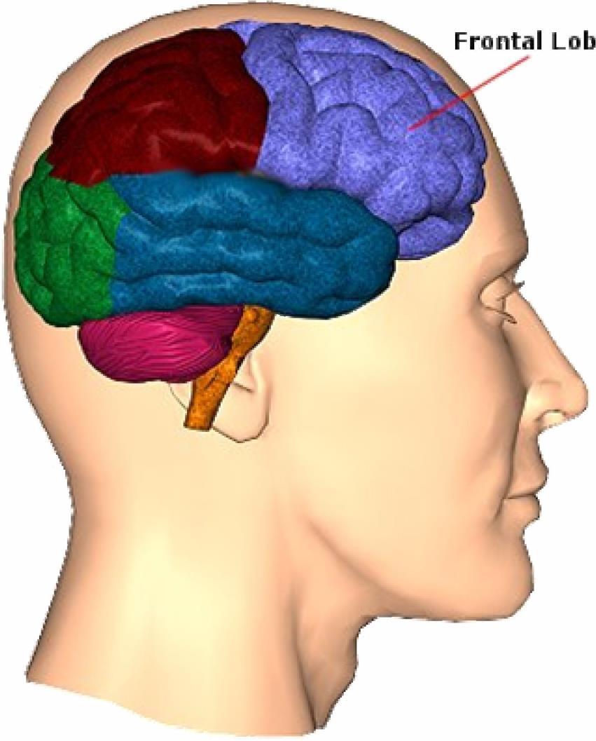 Le ipotesi scientifiche