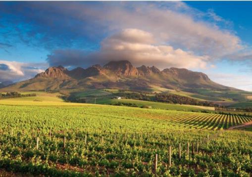 vitivinicola per un assaggio dei vini sudafricani. Il rientro a Città del Capo è previsto nel pomeriggio inoltrato. Zona dei vigneti 06/03/18 CAPE TOWN / DUBAI Prima colazione in hotel.