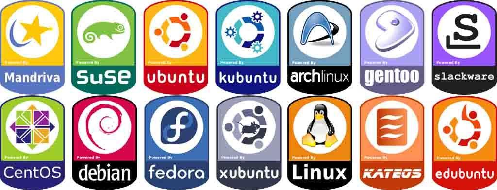 IL SISTEMA OPERATIVO GNU/Linux Ciascun sistema