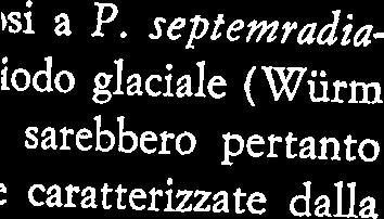 MARS P. & PICARD J., 1958 - Note sur le gisements sous-marins a faune celtique en Méditerranée. Rapp. et Proc. Verb.