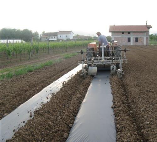 Film biodegradabili per la pacciamatura del suolo Categories : Anno 2009, N.