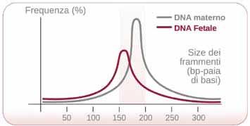 affidabilità del test Allineamento delle sequenze e conteggio Ricerca di mutazioni nel DNA fetale