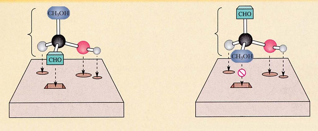 Perché gli enzimi hanno la capacità di distinguere gli enantiomeri e quindi di reagire con uno solo di