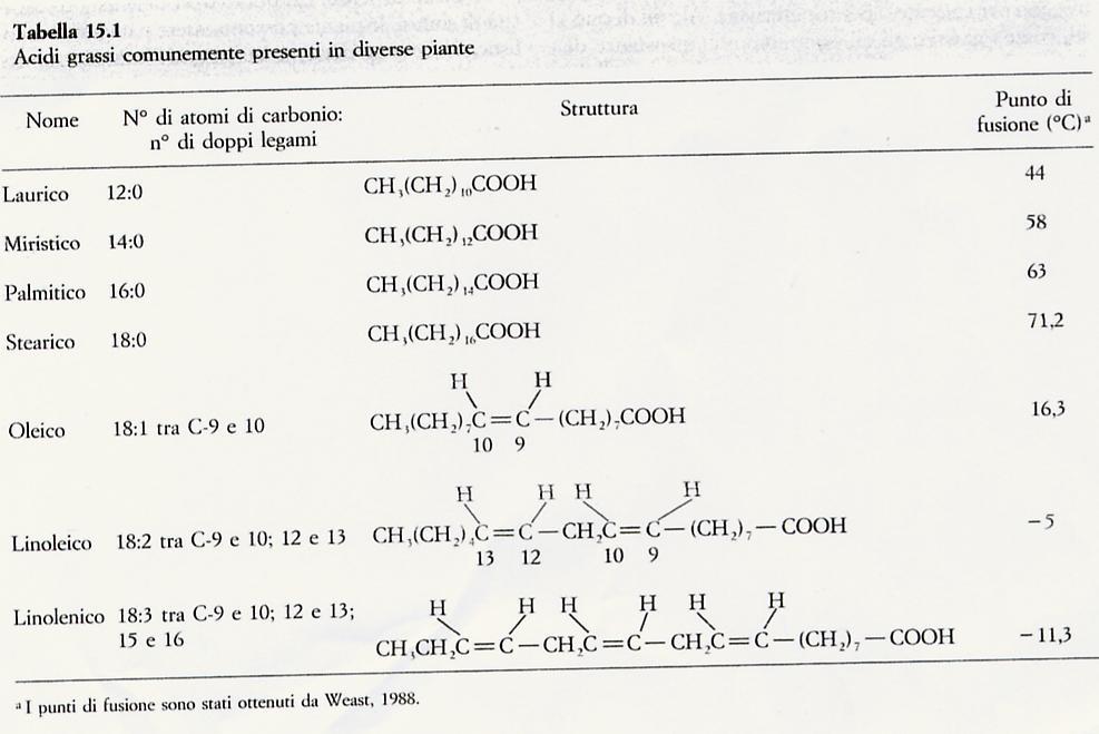 Il punto di fusione della molecola diminuisce proporzionalmente al suo grado di insaturazione : la molecola