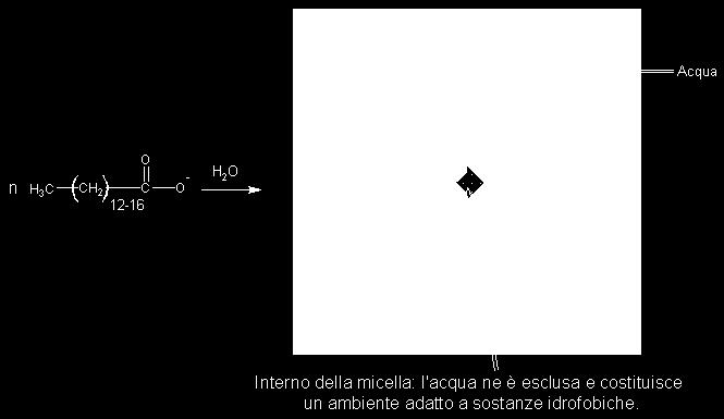 in acqua gli anioni carbossilato si aggregano fra loro formazione di