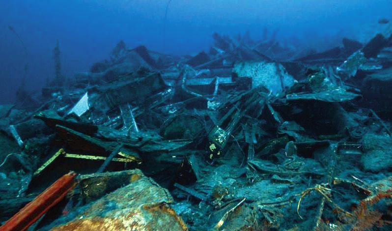 000 m 2 tra posidonieto e coralligeno; terminate le operazioni di ripristino dei luoghi, si cercherà di intervenire con operazioni di restauro ambientale che favoriscano il recupero naturale dei