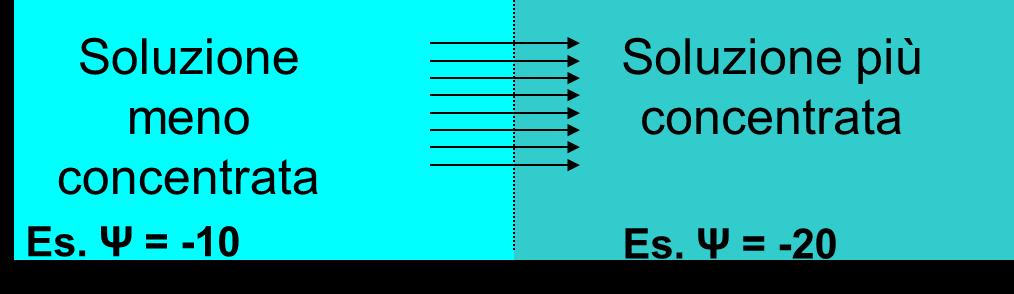 semipermeabile.