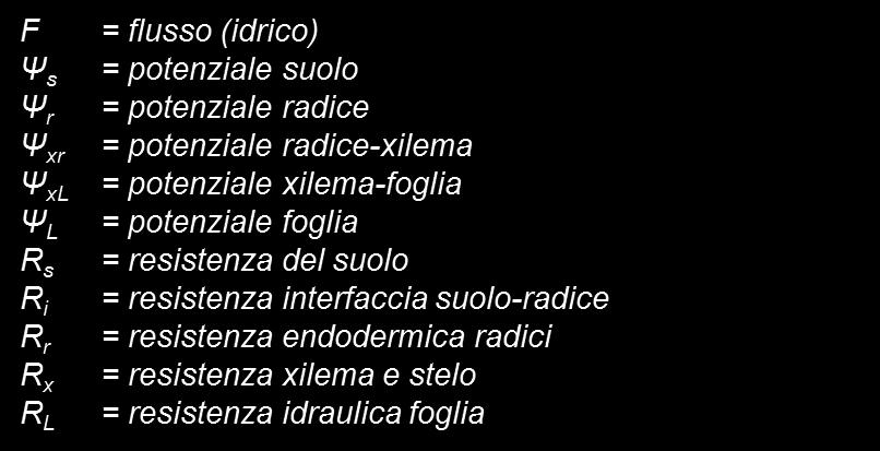 ET: sistema pianta-suolo-atmosfera In condizioni di buona disponibilità idrica le resistenza più influenti sono R L e R r.