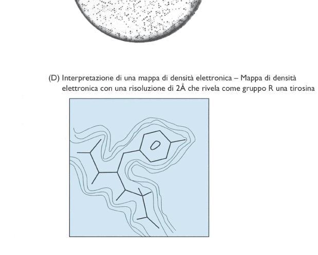 FIGURA 9.