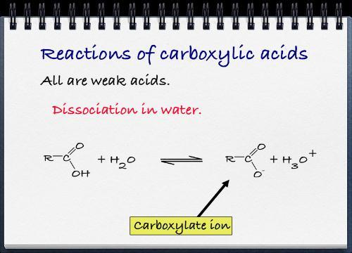 Acidi carbossilici Gli