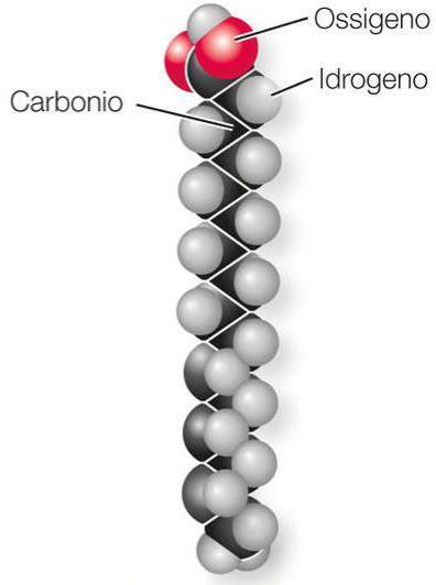 Le biomolecole organiche 3 I polisaccaridi possono inoltre legarsi alle proteine formando le glicoproteine che vengono utilizzate come segnali di riconoscimento cellulare (per esempio nella