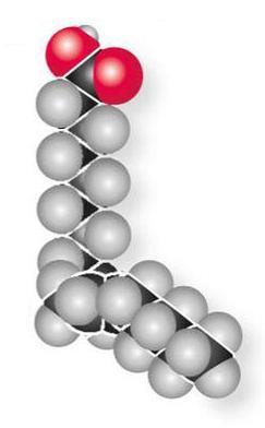 Lipidi I lipidi sono un gruppo molto eterogeneo di sostanze costituite prevalentemente da carbonio, idrogeno e ossigeno (in proporzioni ovviamente diverse da quelle dei glucidi) con l unica
