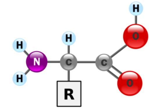 Le biomolecole organiche 5 ALTRI TIPI DI LIPIDI Alcune classi di molecole non sono riconducibili a nessuna delle strutture appena descritte però, essendo insolubili in acqua vengono di solito inclusi