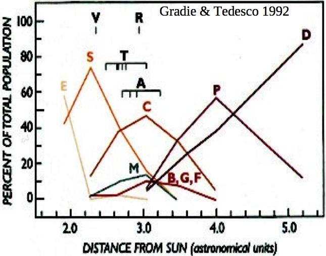 Distribuzione radiale delle classi! La distribuzione delle diverse classi varia con la distanza eliocentrica! La distribuzione riflette un gradiente radiale di temperatura nel Sistema Solare!