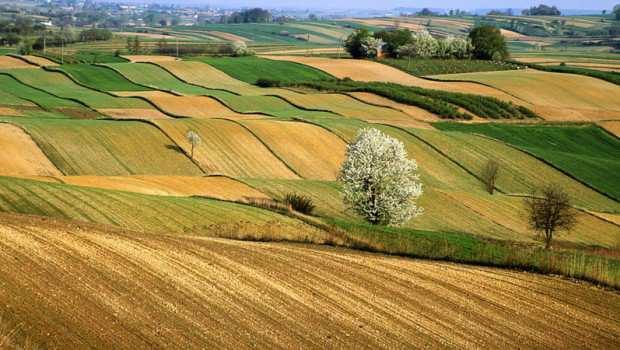 2, tipologia d intervento 4.2.1 Sostegno agli investimenti per la trasformazione, commercializzazione e/o lo sviluppo di prodotti agricoli del nuovo Psr 2014-2020.