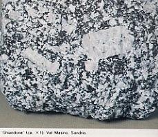 Intrusive Granodiorite Struttura: olocristallina,