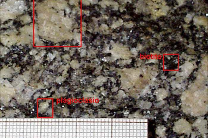 quarzo, plagioclasio più abbondante del feldspato