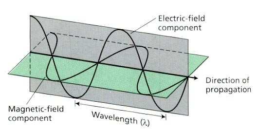 La fonte di energia è la radiazione solare luce onda elettromagnetica λ = c/ν