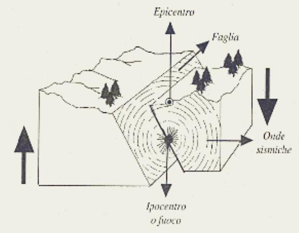 Che cosa è Un terremoto, o sisma, è un'improvvisa vibrazione del terreno prodotta da una brusca liberazione di energia e tale energia si propaga in tutte le direzioni (come una sfera) sotto forma di