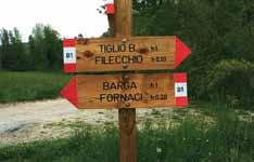 LUOGHI itinerari Sentiero B1 Barga - Tiglio - Seggiane - Loppia - Fornaci - Barga Tempi e distanza di percorrenza 4,0 h - 14 km Dislivelli nel senso del percorso sopra indicato Salita m.