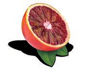L estratto di Arancia rossa della Sicilia (Morosil ), ricco di antocianosidi, svolge un azione antiossidante fondamentale nelle diete