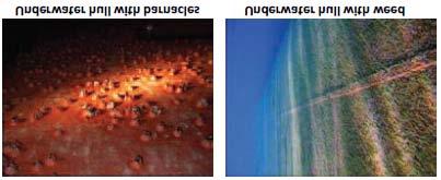 Il Consumo di carburante di una nave e il suo impatto ambientale è un settore in cui coatings hanno e continueranno ad avere un ruolo significativo.