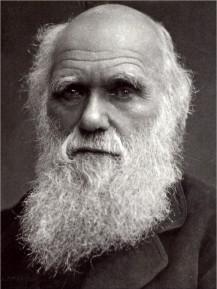 CHARLES DARWIN (1871) in una sorta di