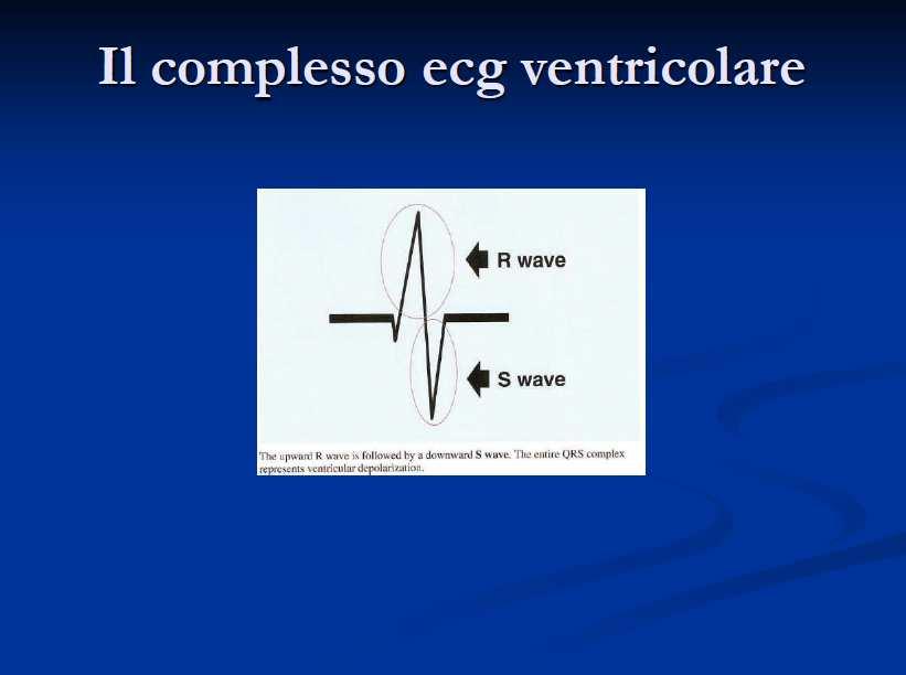 La onda R (posiva) sarà seguita successiva un onda S