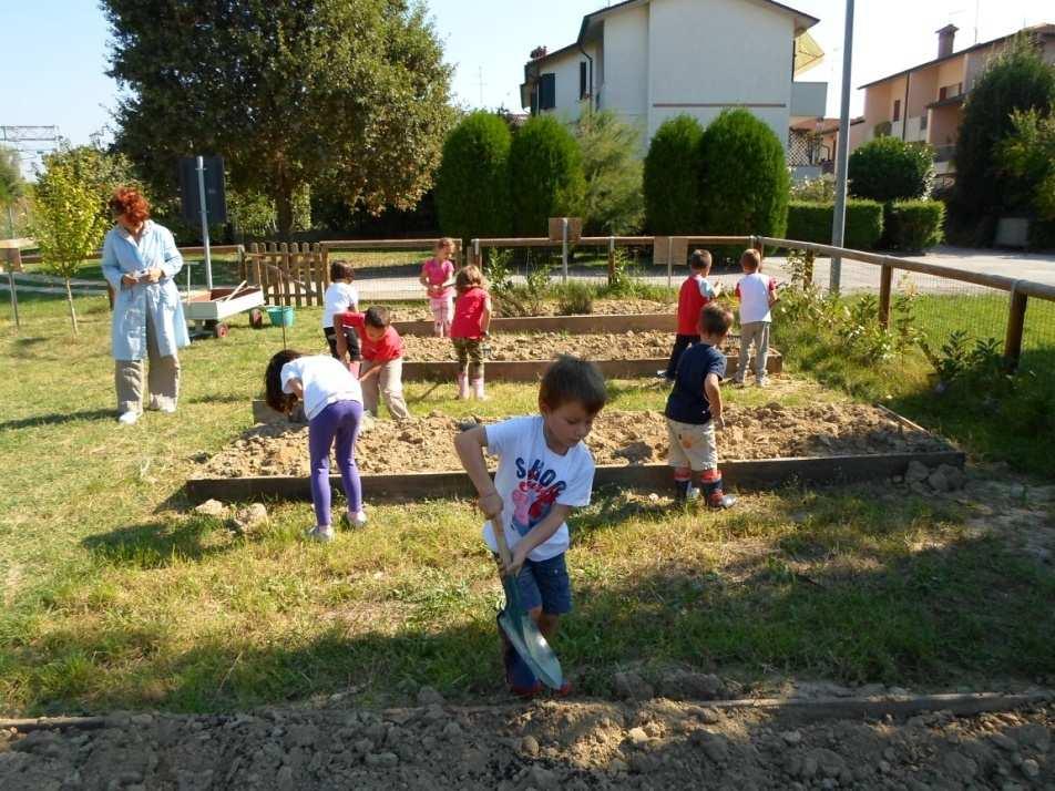 Su consiglio di un nostro vicino li abbiamo coperti con dei telone e questo ha impedito alle erbacce di crescere durante l estate così a Settembre, quando siamo tornati a scuola, abbiamo potuto