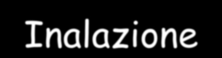 Inalazione L inalazione costituisce la principale modalità di assunzione di sostanze chimiche.