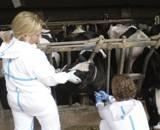 APPUNTAMENTI Piacenza, 19 21 aprile 2012, congresso nazionale della Società di Buiatria Benessere, antibiotici, utero il punto sulle patologie bovine Avrà luogo a Piacenza dal 19 al 21 aprile