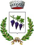 Comune di Novoli (Provincia di Lecce) DETERMINAZIONE N.