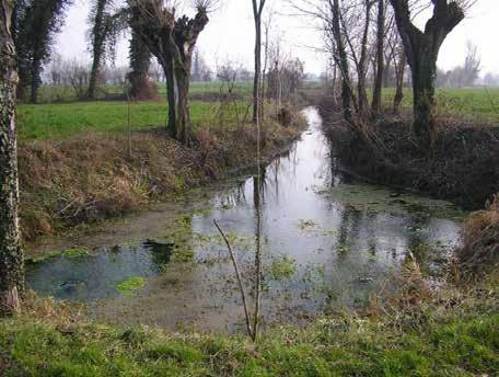 finanziamento pubblico ambiente Il Consorzio ha anche da tempo ultimato il progetto di