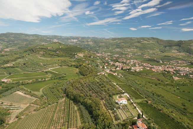 Valpolicella. Michele Chiarlo Azienda Vitivinicola Michele Chiarlo proviene da una famiglia di viticoltori che per sette generazioni hanno operato nel Monferrato.