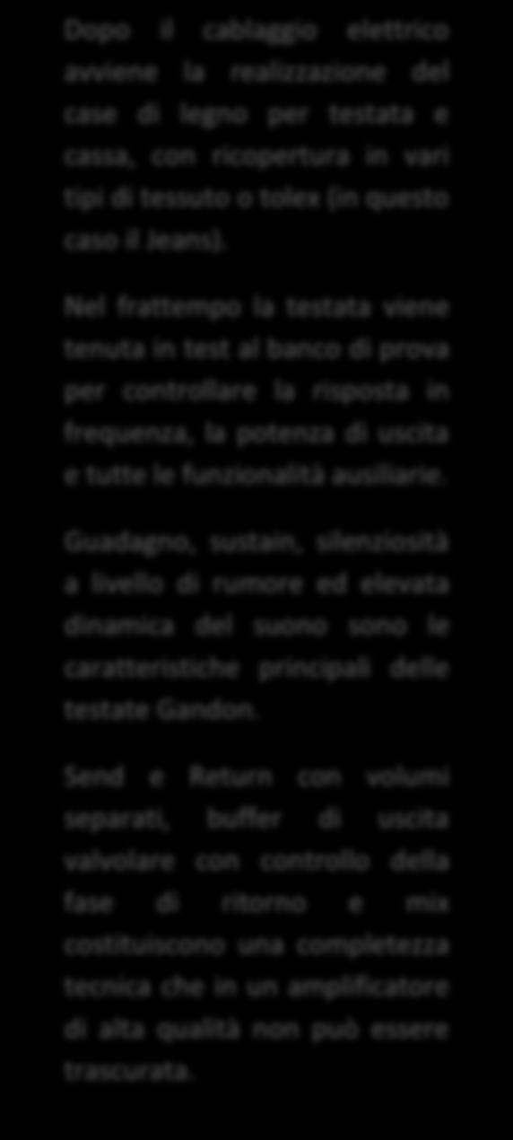 Guadagno, sustain, silenziosità a livello di rumore ed elevata dinamica del suono sono le caratteristiche