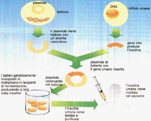 Produzione di