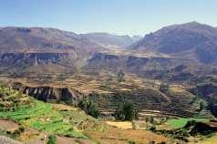 Partenza all alba verso la Valle del Colca in trasporto privato (Km. 170, circa 3:30 ore effettive di viaggio).