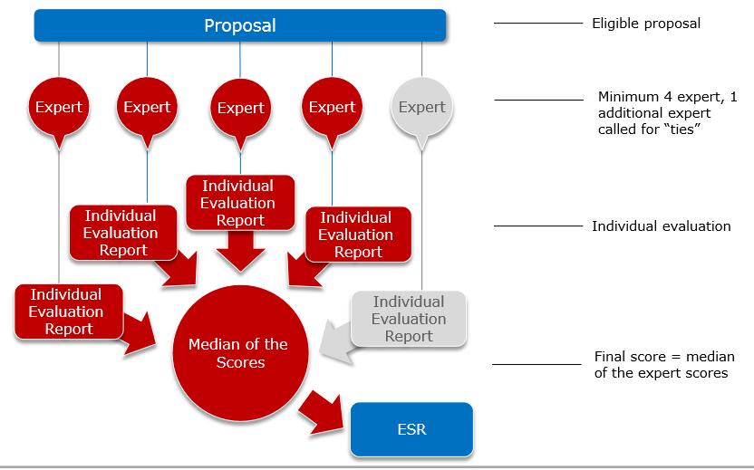 Processo di valutazione Remote evaluation throughout the process (Abandon consensus ) Each criteria is scored 0-5 Maximum score:: 15/15 Min